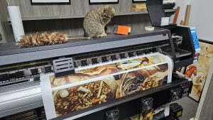 Tranh Canvas Trang Trí Quán Cà Phê: Giải Mã Lý Do Các Chuỗi Lớn Như Katinat Lựa Chọn Sản Phẩm Này Tranh Canvas trang trí quán cà phê
