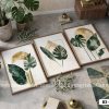 B3 021 D Tranh Canvas Lá Nhiệt Đới Tông Xanh Lá Decor Phòng Ngủ Hiện Đại m1